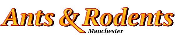 Manchester Ant Exterminator & Rodent Control Company Logo